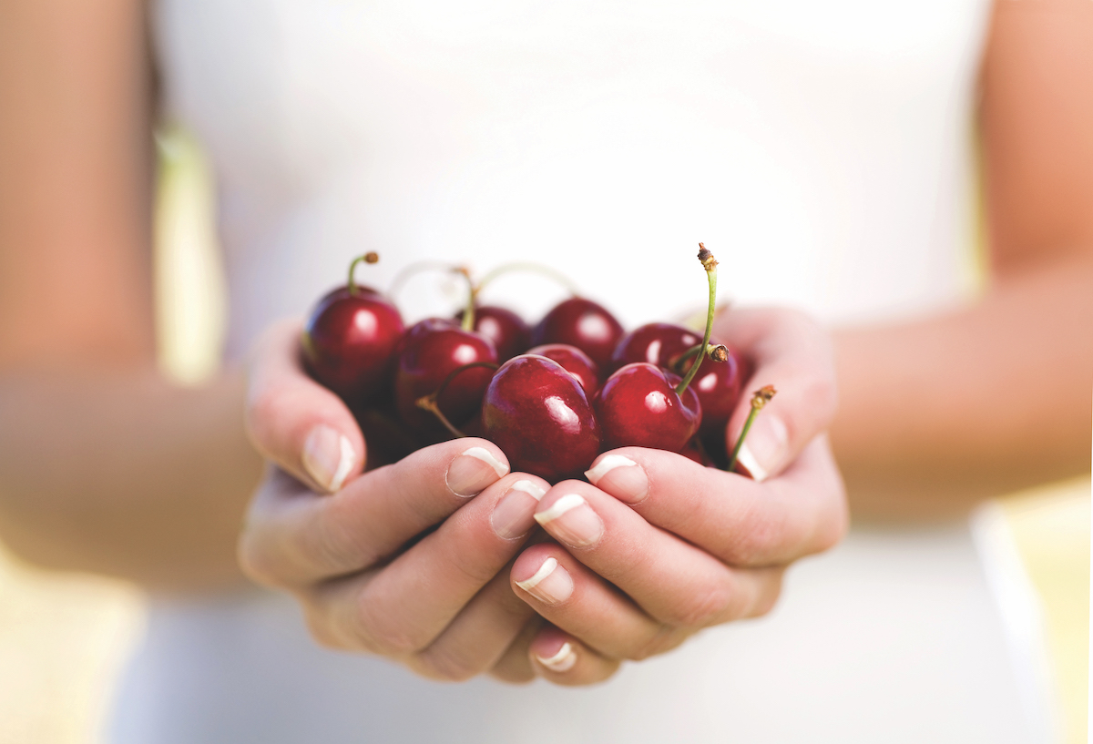 Our Cherries Tasmanian Cherries by Reid Fruits