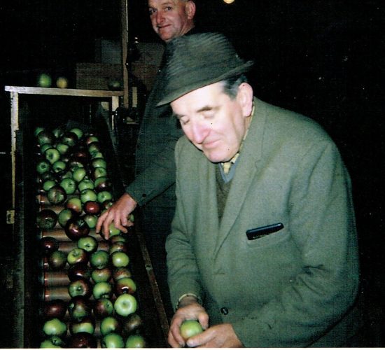 Steve and Bob Sorting